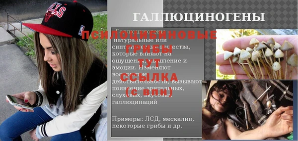 амф Абинск
